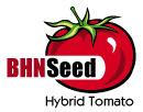 BHN Seed