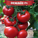 Демироз F1 YUK-DEMI500 фото 1