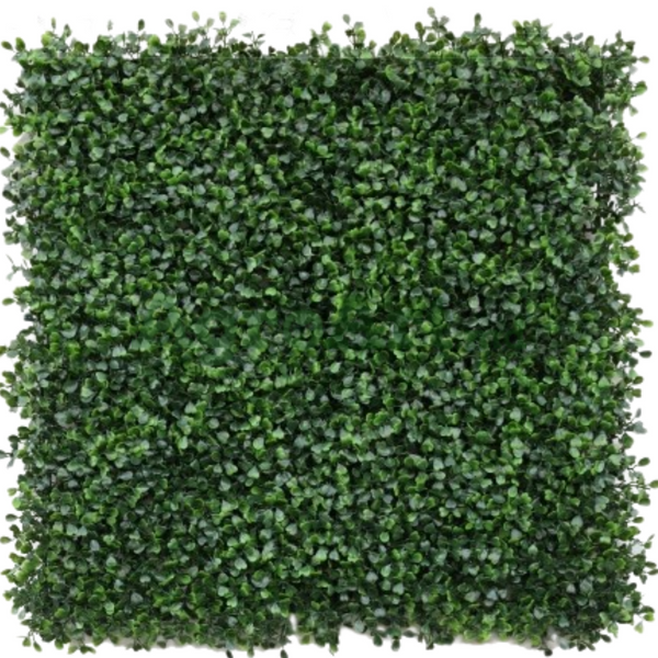 Декоративное панно Greenery Boxwood (0,5x0,5м) DEC-GRB05X05M фото Декоративное панно Greenery Boxwood (0,5x0,5м) DEC-GRB05X05M фото