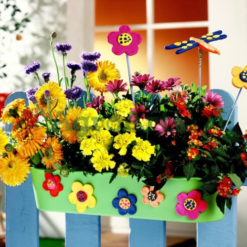 Amestec de Flori pentru Balcon și Terasă (0,275 kg) ID999MARKET_6604848 foto