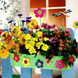 Amestec de Flori pentru Balcon și Terasă (0,275 kg) ID999MARKET_6604848 foto 2