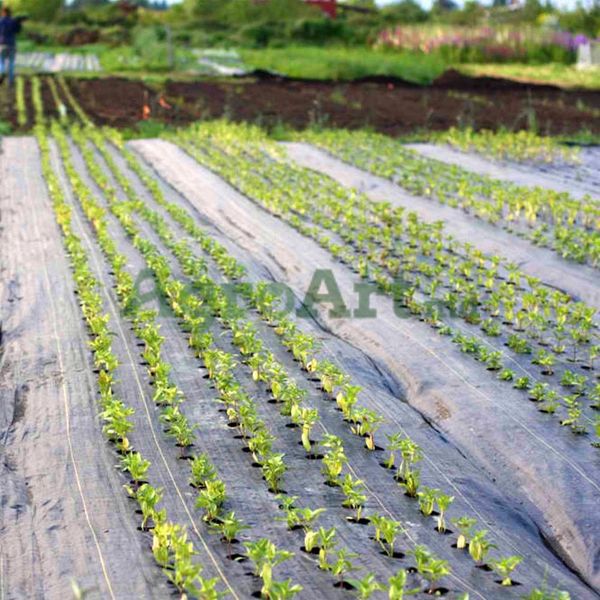 Agrotextil 90 gr / m2 (1,65 x 100) JUT-NEG1,65x100 foto