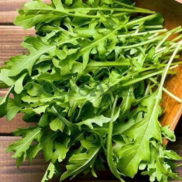 Rocket Cultivated SEM-ROCС100G foto