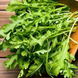 Rocket Cultivated SEM-ROCС100G foto 3