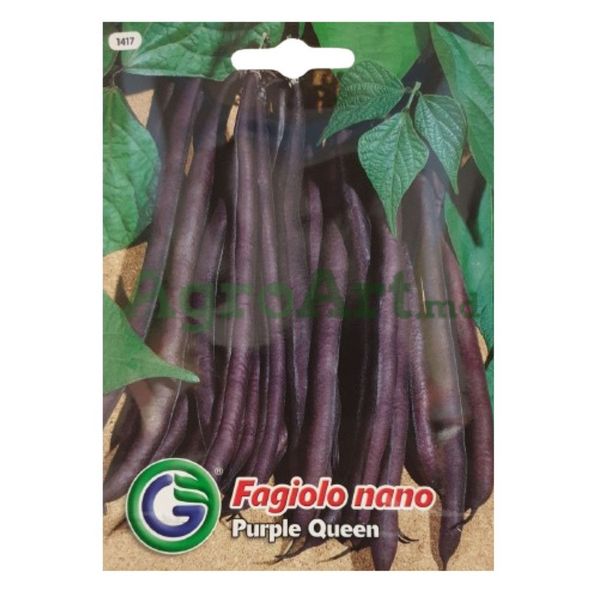 Purple Queen 1417 (20 grame) GAL-PUR1417 foto