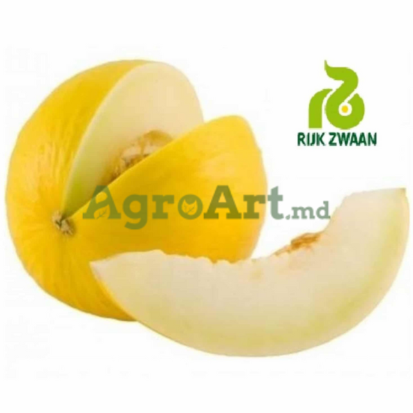 Ducral F1 RIJ-DUC100 foto