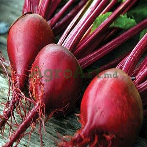 Detroit Gr Roca Cumpărați Detroit 2 (500 gr) FRA-DET500 din magazinul online AgroArt.md