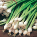 Вайт Лиссабон POP-WHI100G фото 2