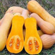 Butternut Rugosa (500 gr) FRA-BUT500 foto 1