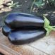 Brigitte F1 (100 seminţe) RIJ-BRI100 foto 2