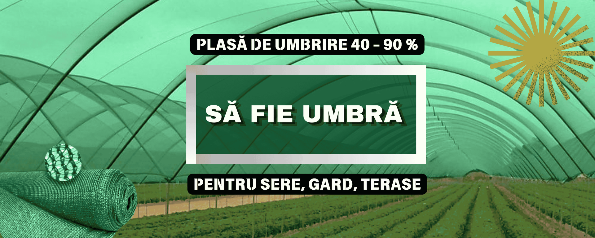 Baner principal 1 ro