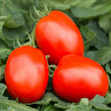 Peto 86 (250 gr) BAK-PET250G foto