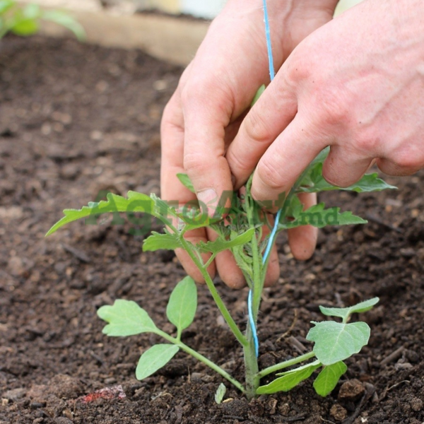 Нить PP Twine TER-SFR(1000m) фото