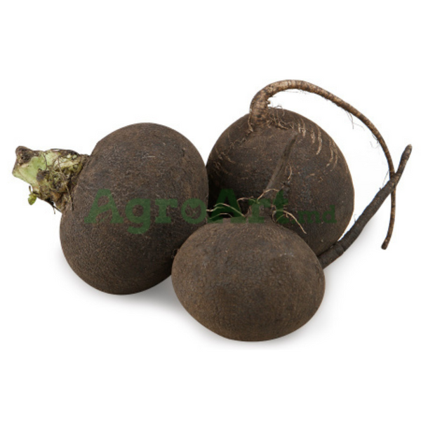 Бурсия (500 г) BUR-BUR500G фото