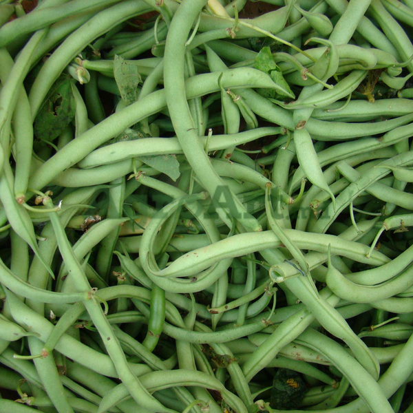 Burmen (1 kg) BUR-BUR1 foto