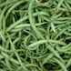 Burmen (1 kg) BUR-BUR1 foto 2